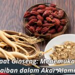 Manfaat Ginseng: Menemukan Keajaiban dalam Akar Alami