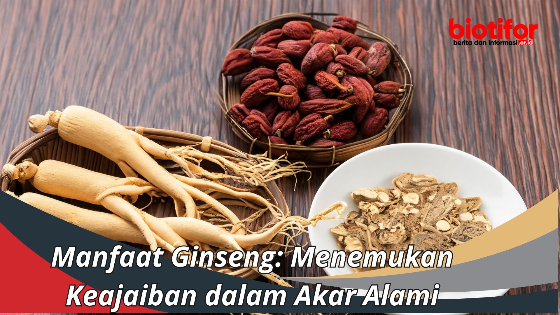 Jenis Tanaman Ginseng: Manfaat, Jenis, dan Cara Merawat
