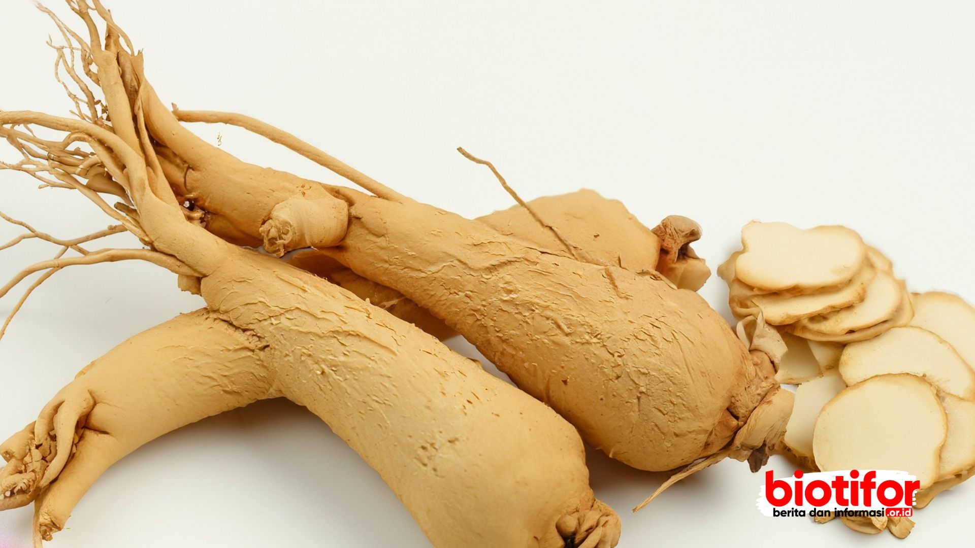 Manfaat Ginseng