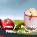 Manfaat Jambu Air Buah Segar yang Penuh Khasiat