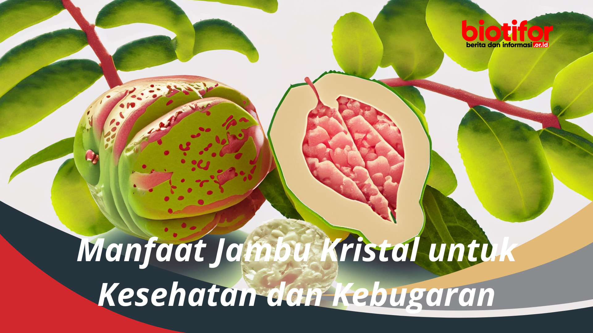 Manfaat Jambu Kristal untuk Kesehatan dan Kebugaran