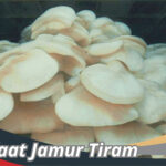 Manfaat Jamur Tiram