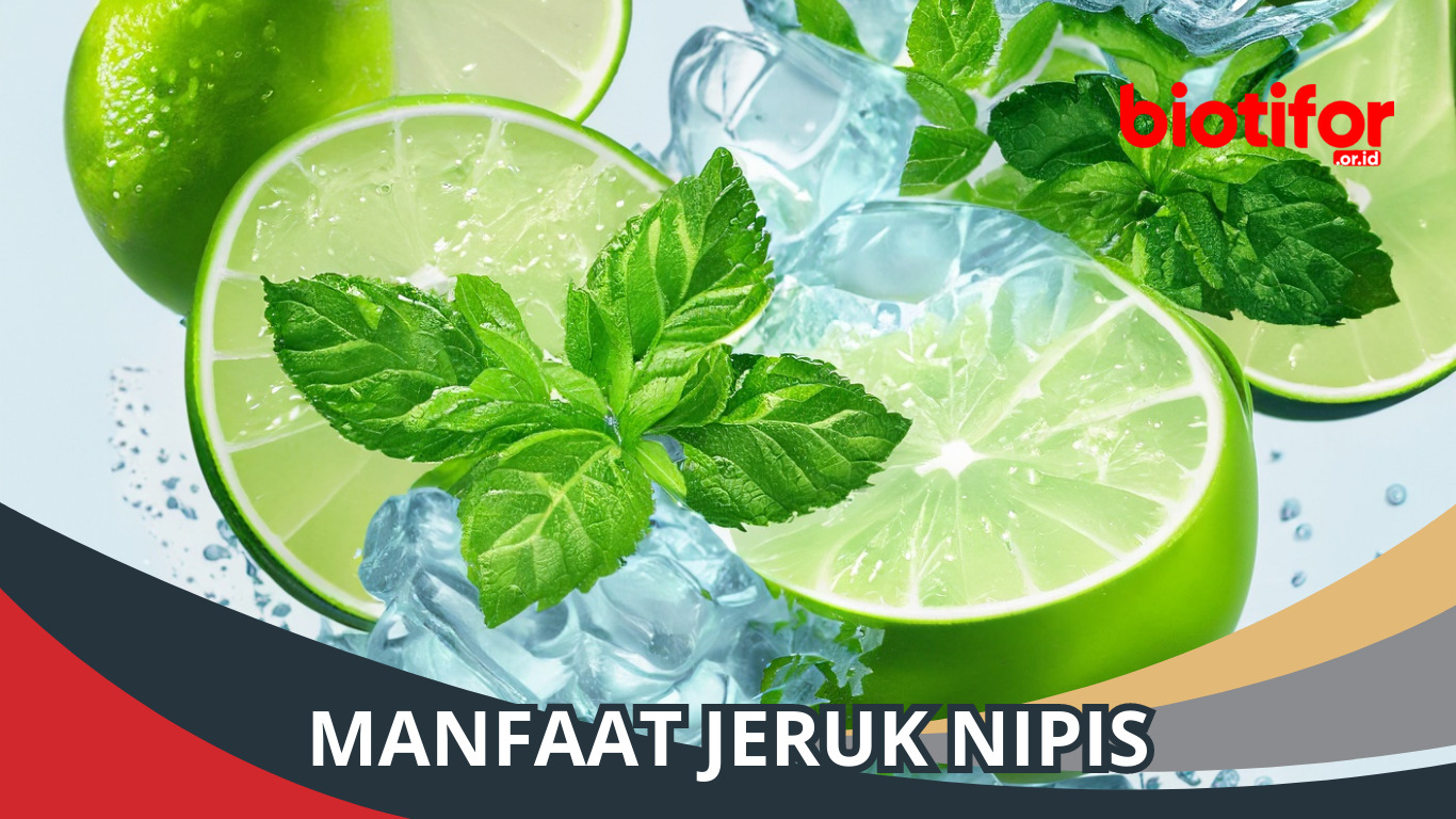 Manfaat Jeruk Nipis: Segarkan Kesehatan dan Kecantikan Kamu