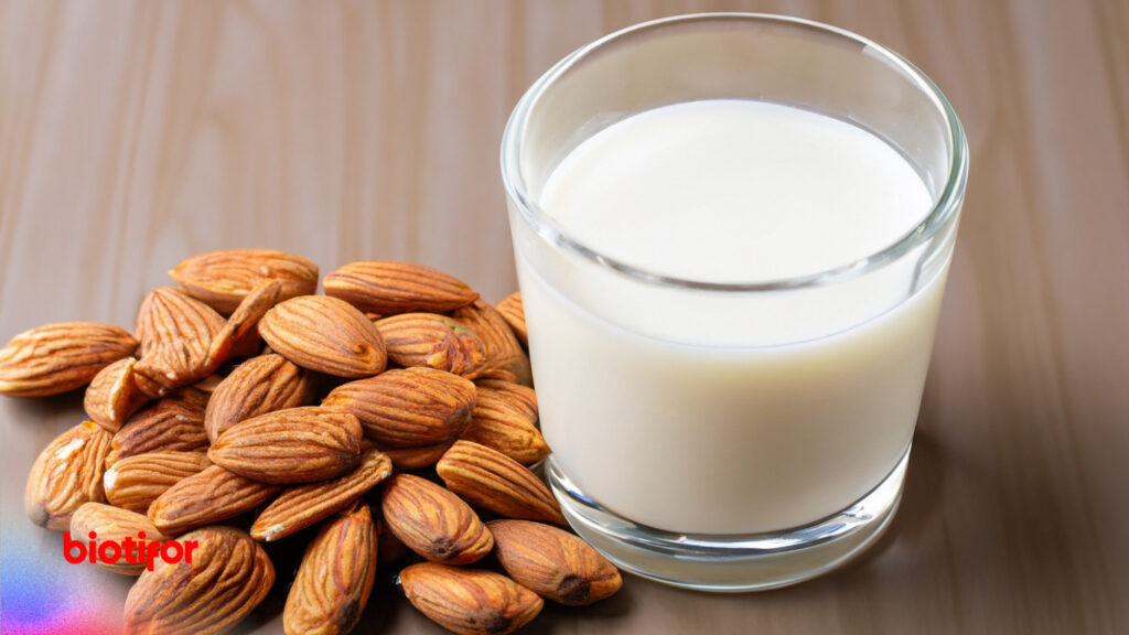Manfaat Kacang Almond