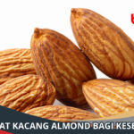 Manfaat Kacang Almond