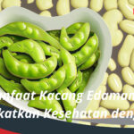 Manfaat Kacang Edamame Meningkatkan Kesehatan dengan Gizi