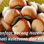Manfaat Kacang Hazelnut Menikmati Kelezatan dan Kesehatan