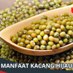 Manfaat Kacang Hijau