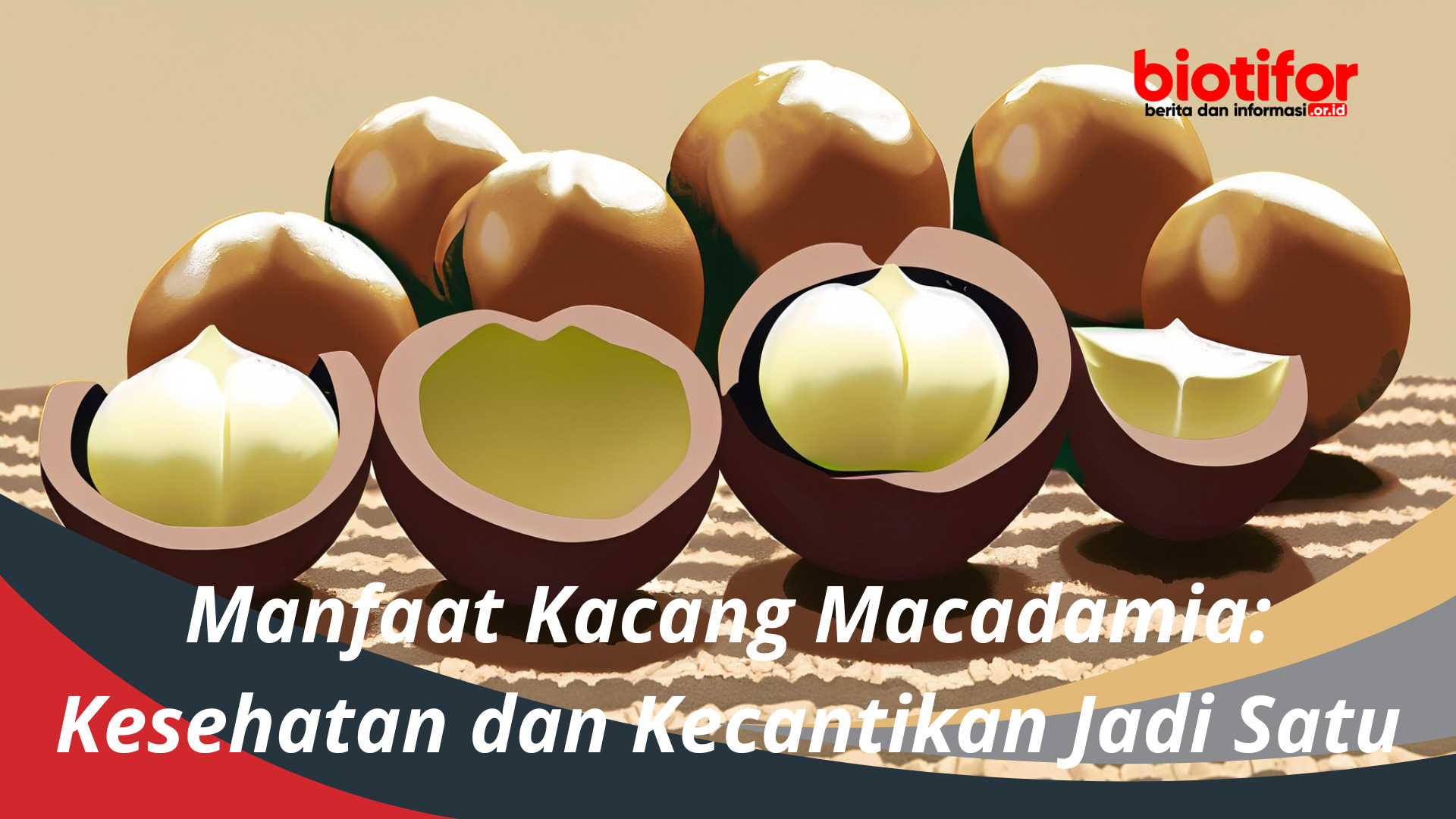 Manfaat Kacang Macadamia: Kesehatan dan Kecantikan Jadi Satu