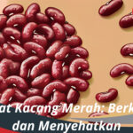 Manfaat Kacang Merah Berkhasiat dan Menyehatkan