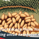 Manfaat Kacang Pinus Nutrisi Penting untuk Kesehatan Anda