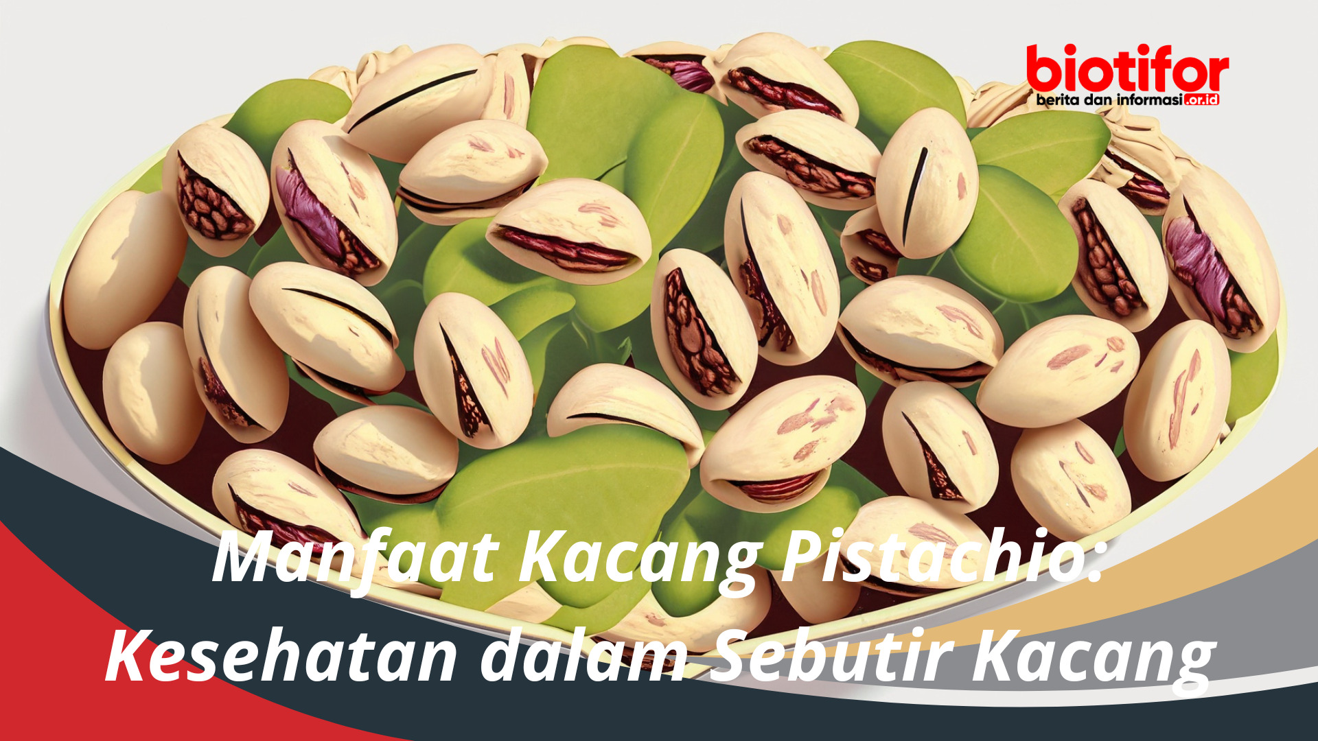 Manfaat Kacang Pistachio Kesehatan dalam Sebutir Kacang