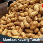 Manfaat Kacang Tanah