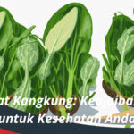 Manfaat Kangkung Keajaiban Hijau untuk Kesehatan Anda