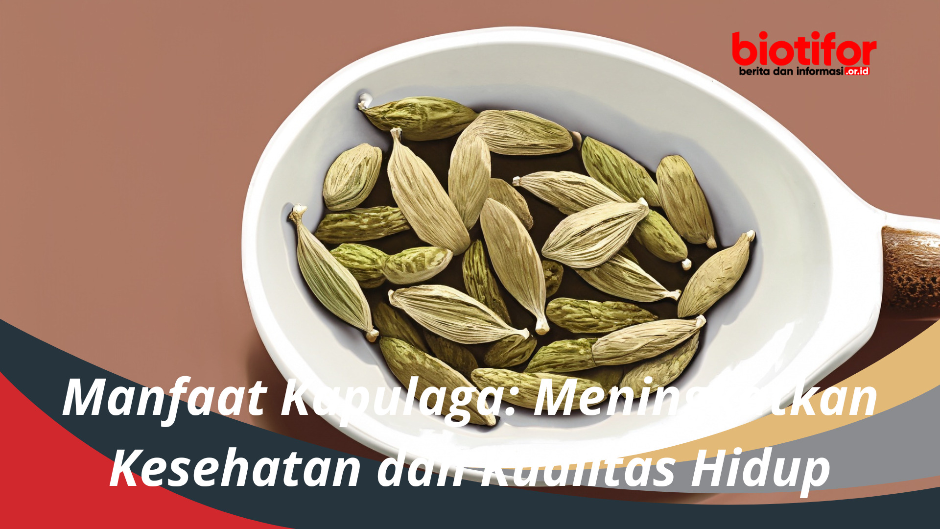 Manfaat Kapulaga Meningkatkan Kesehatan dan Kualitas Hidup