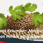 Manfaat Ketumbar Mengungkap Keajaiban Herbal Kaya Manfaat