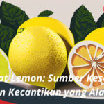 Manfaat Lemon Sumber Kesehatan dan Kecantikan yang Alami