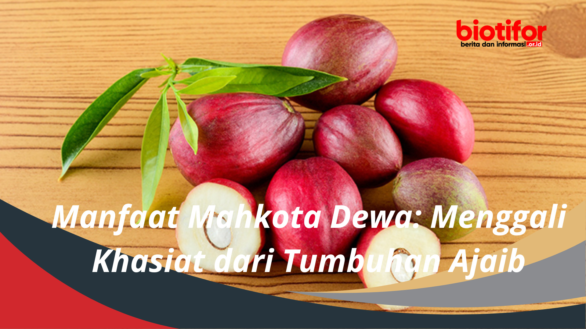 Manfaat Mahkota Dewa Menggali Khasiat dari Tumbuhan Ajaib