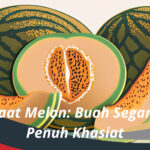 Manfaat Melon: Buah Segar yang Penuh Khasiat