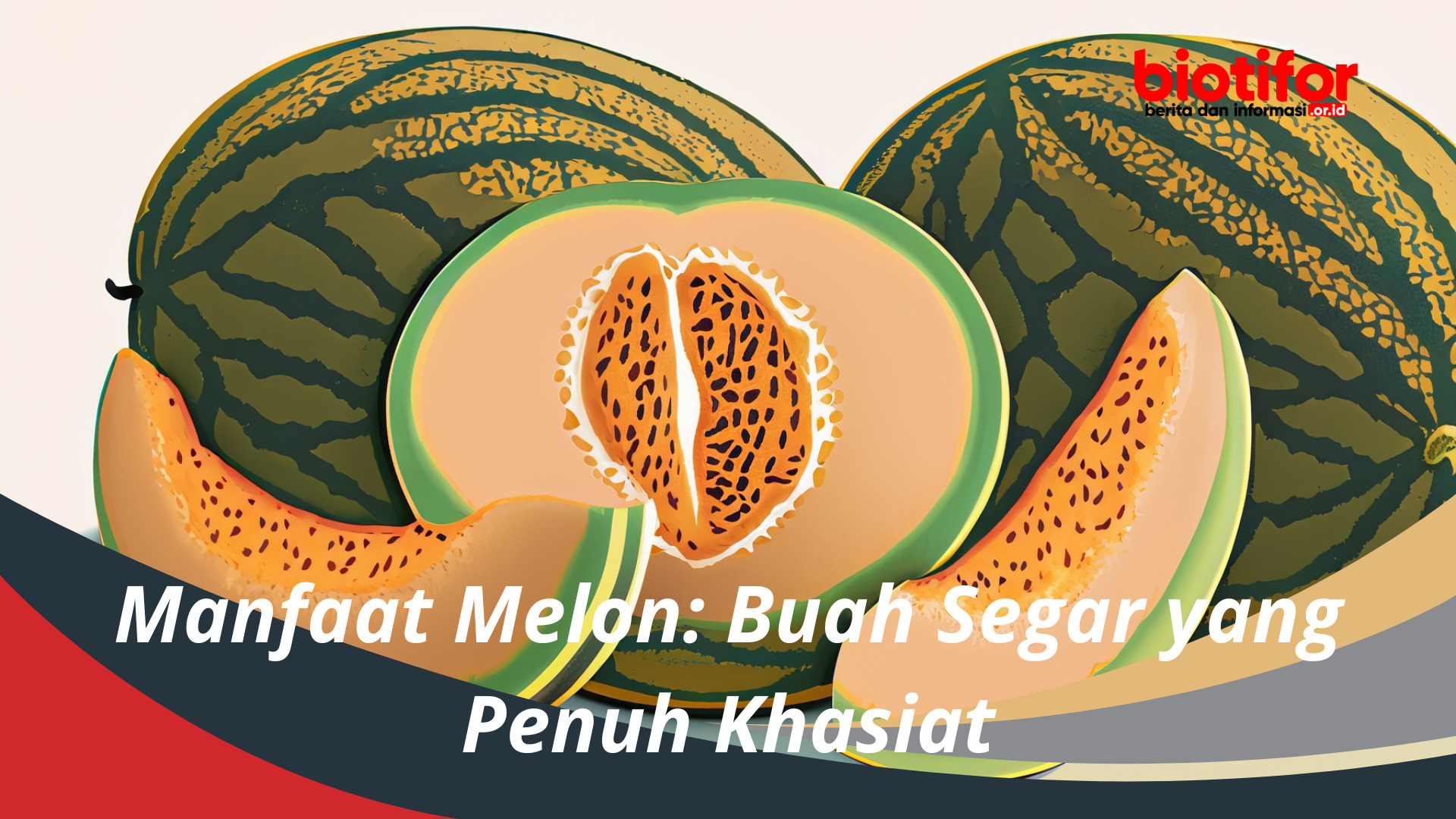 Manfaat Melon: Buah Segar yang Penuh Khasiat