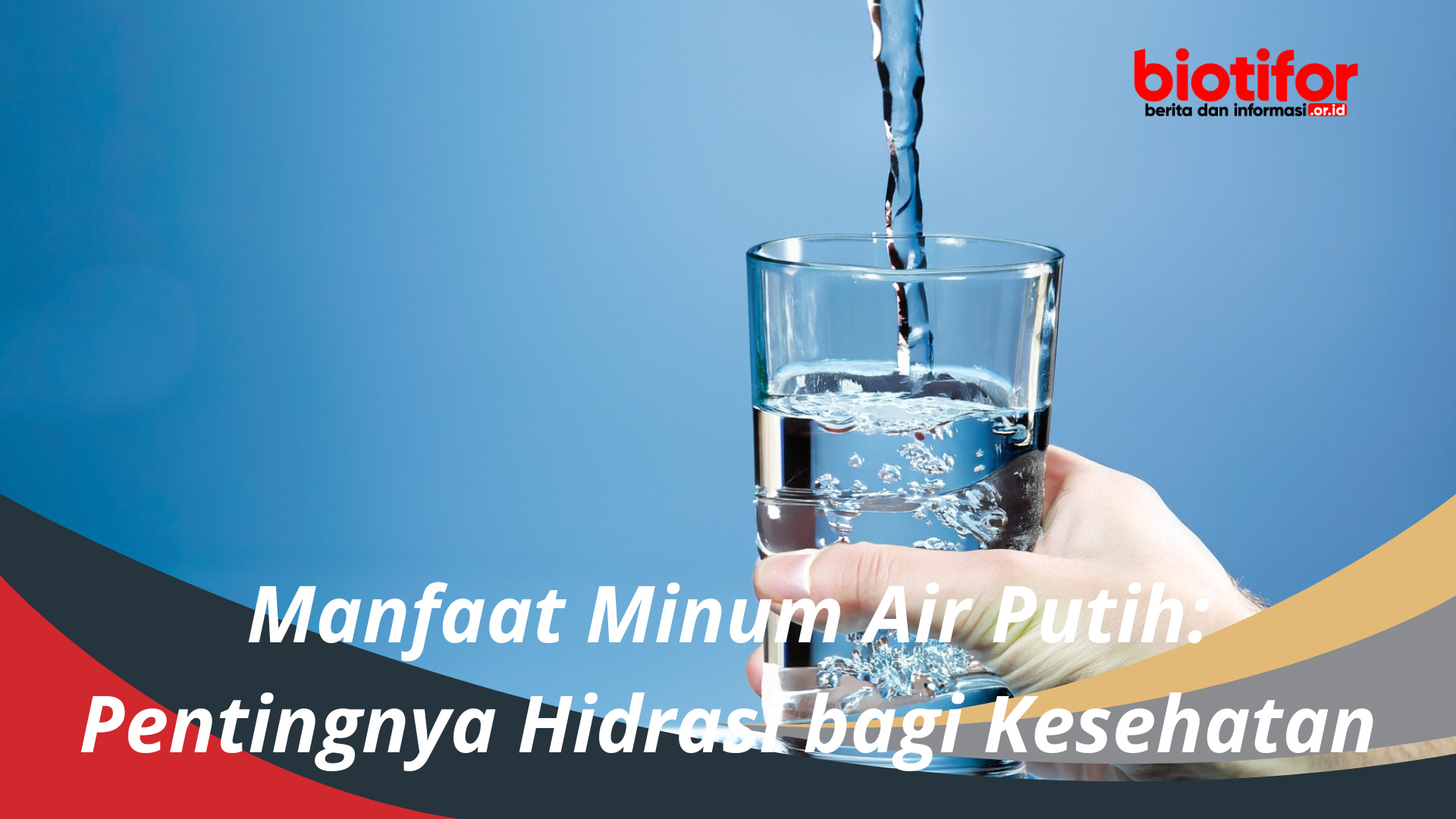 Manfaat Minum Air Putih Pentingnya Hidrasi bagi Kesehatan