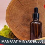 Manfaat Minyak Bulus