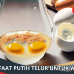 Manfaat Putih Telur untuk Wajah