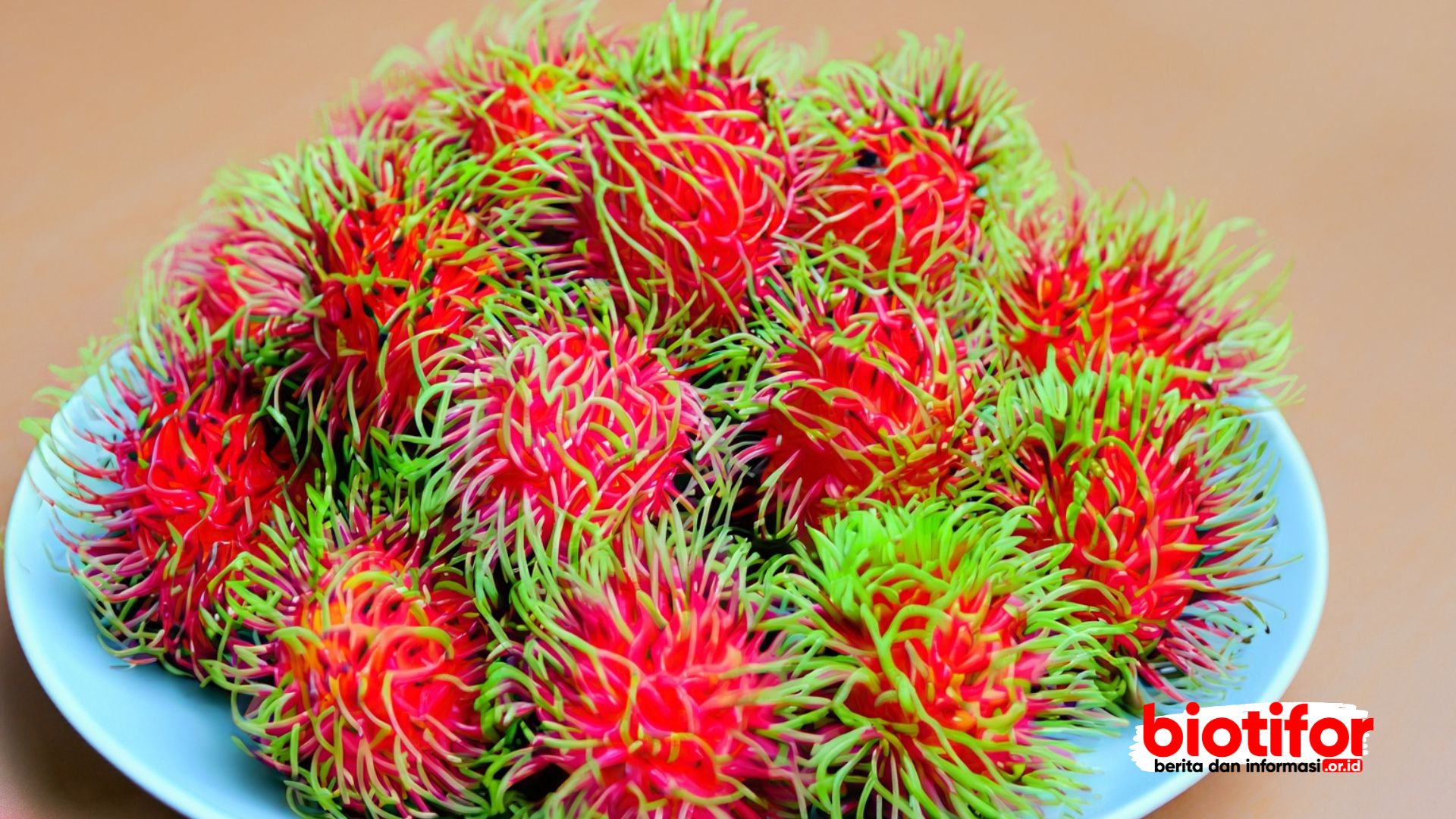 Manfaat Rambutan