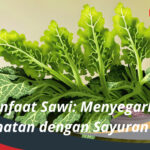 Manfaat Sawi Menyegarkan Kesehatan dengan Sayuran Hijau