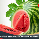 Manfaat Semangka