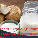 Manfaat Susu Kambing Etawa untuk Kesehatan & Kecantikan