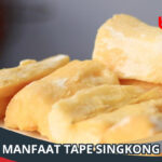 Manfaat Tape Singkong