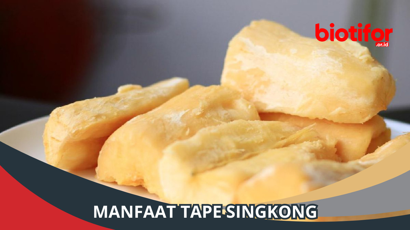 Manfaat Tape Singkong
