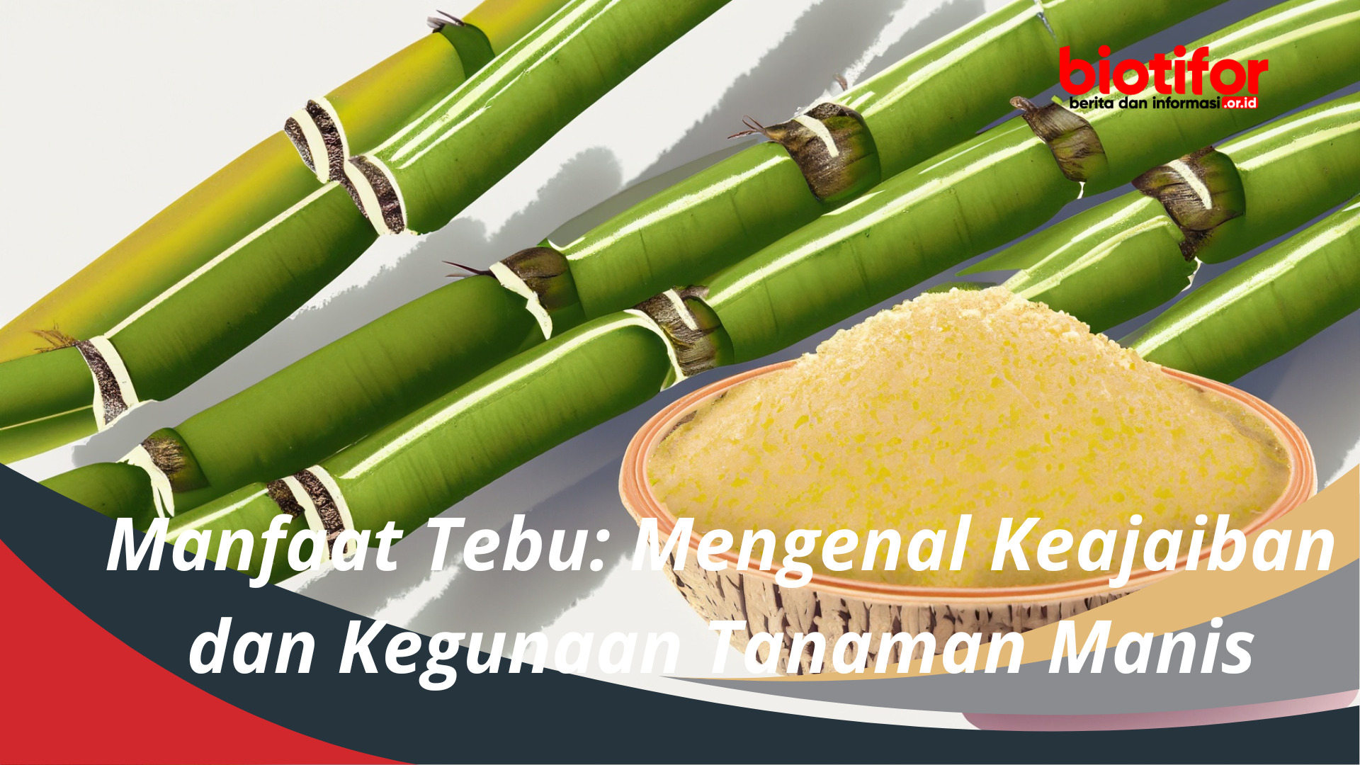 Manfaat Tebu: Mengenal Keajaiban dan Kegunaan Tanaman Manis