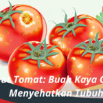 Manfaat Tomat Buah Kaya Gizi yang Menyehatkan Tubuh