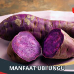 Manfaat Ubi Ungu