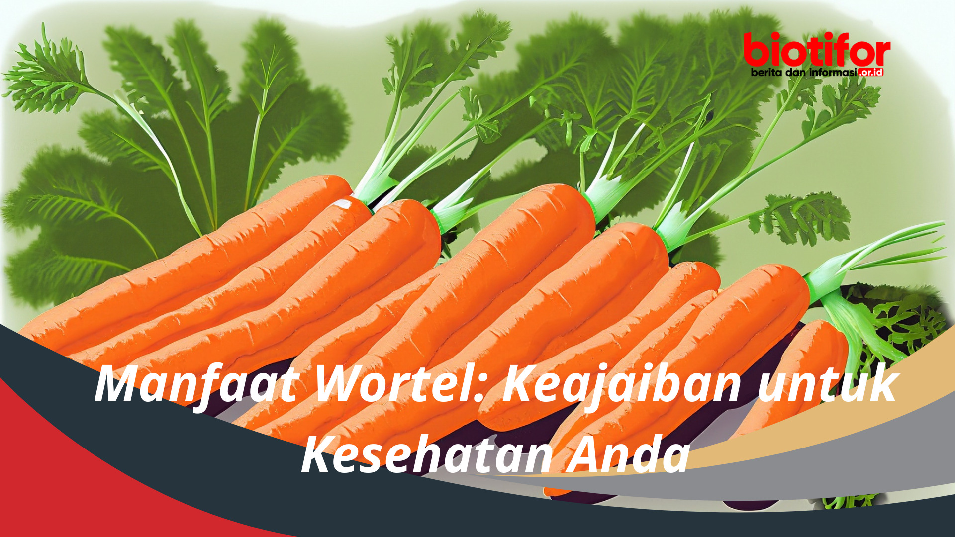Manfaat Wortel Keajaiban untuk Kesehatan Anda