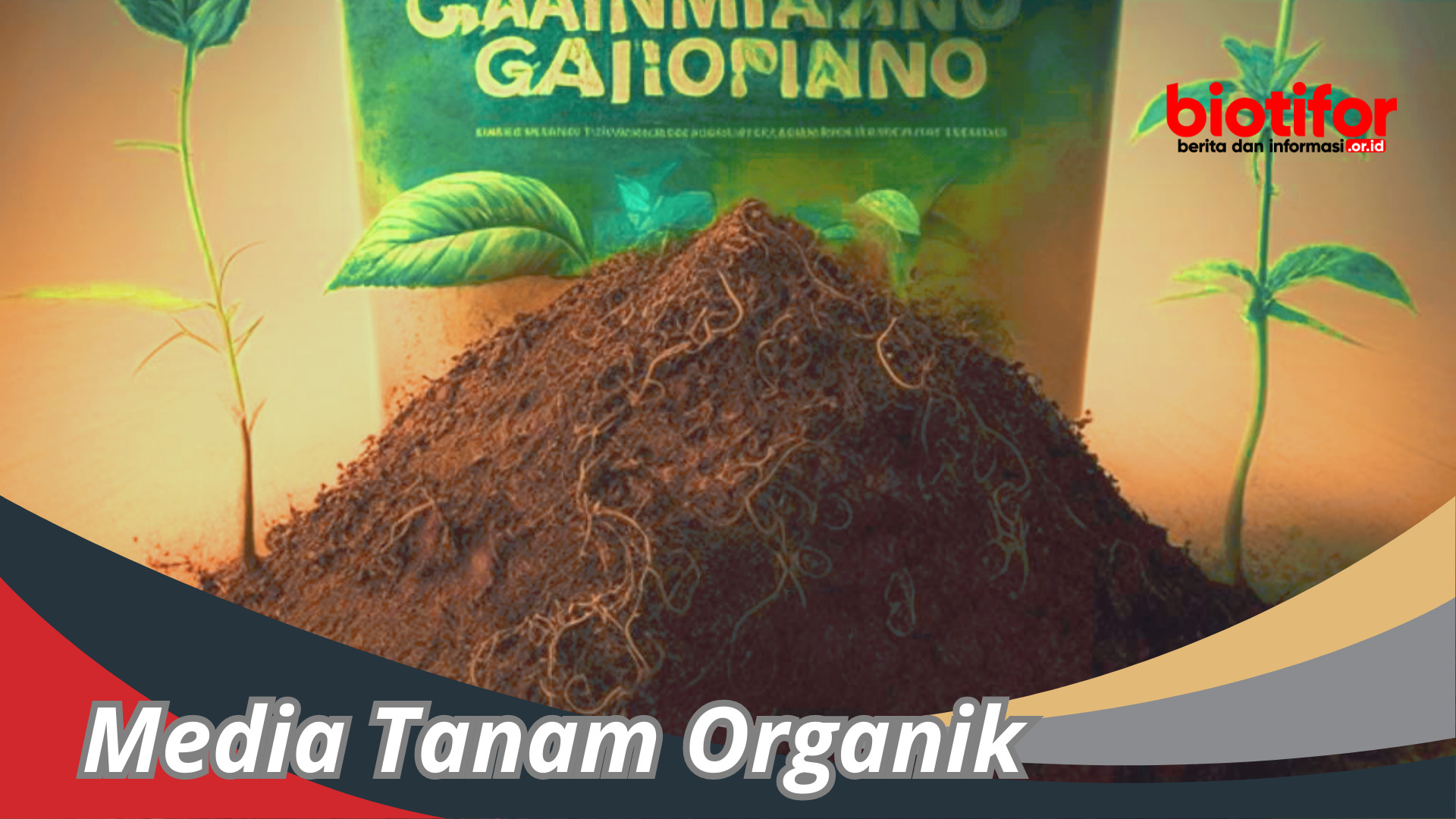 Media Tanam Organik