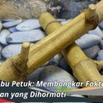 Mitos Bambu Petuk: Membongkar Fakta di Balik Kepercayaan yang Dihormati