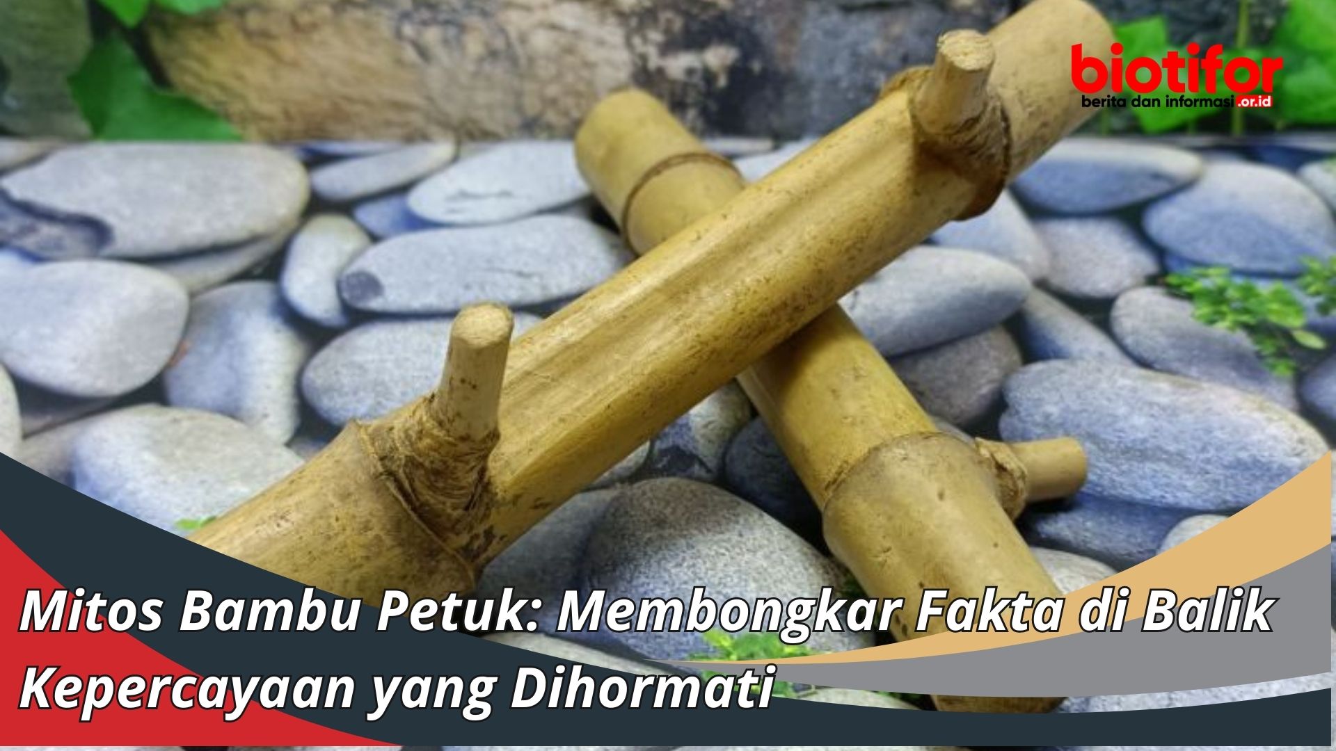 Mitos Bambu Petuk: Membongkar Fakta di Balik Kepercayaan yang Dihormati