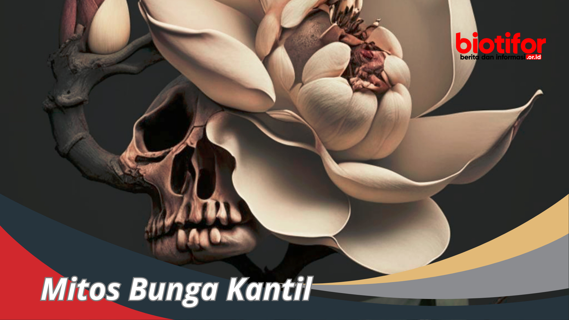 Mitos Bunga Kantil