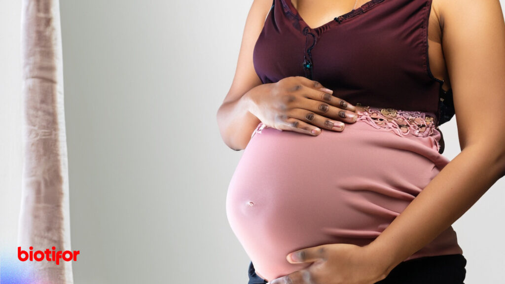 Nutrisi Penting dalam Susu Ibu Hamil