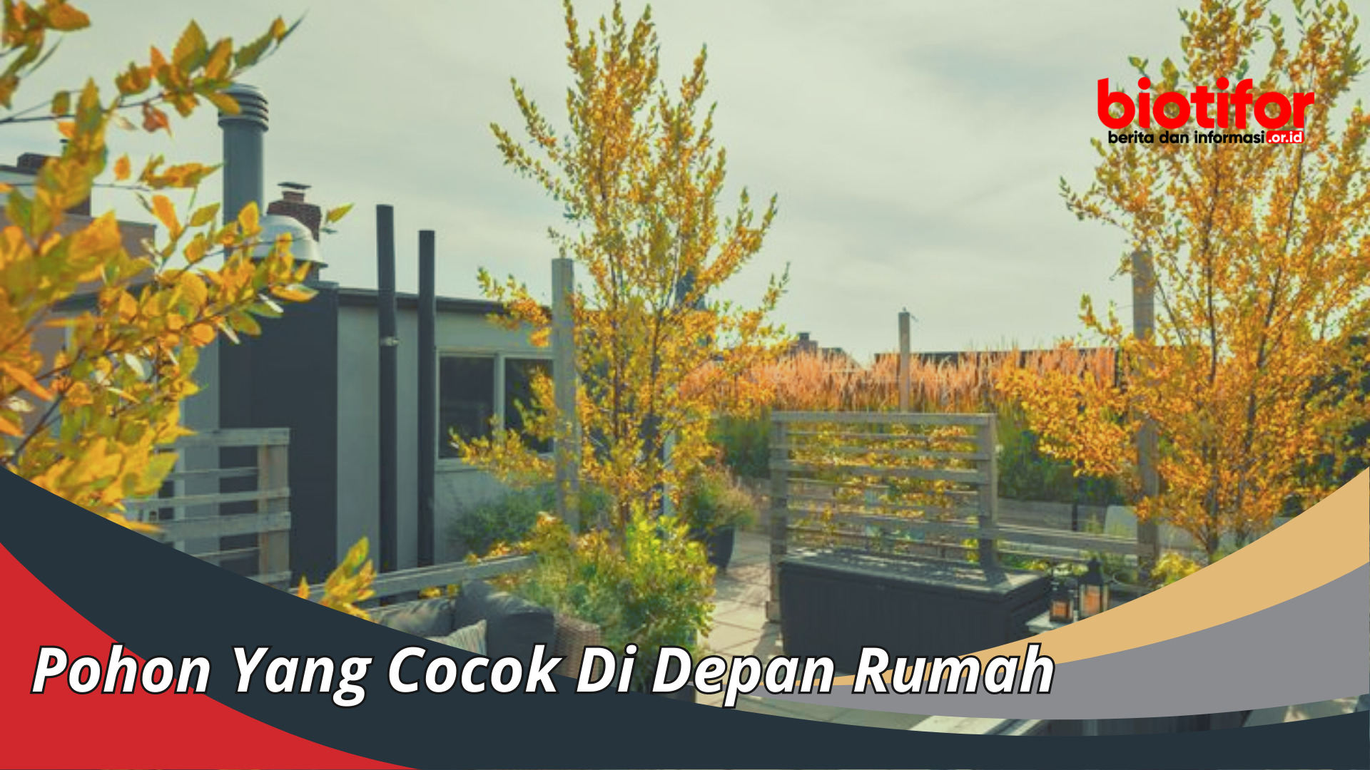 Pohon Yang Cocok Di Depan Rumah
