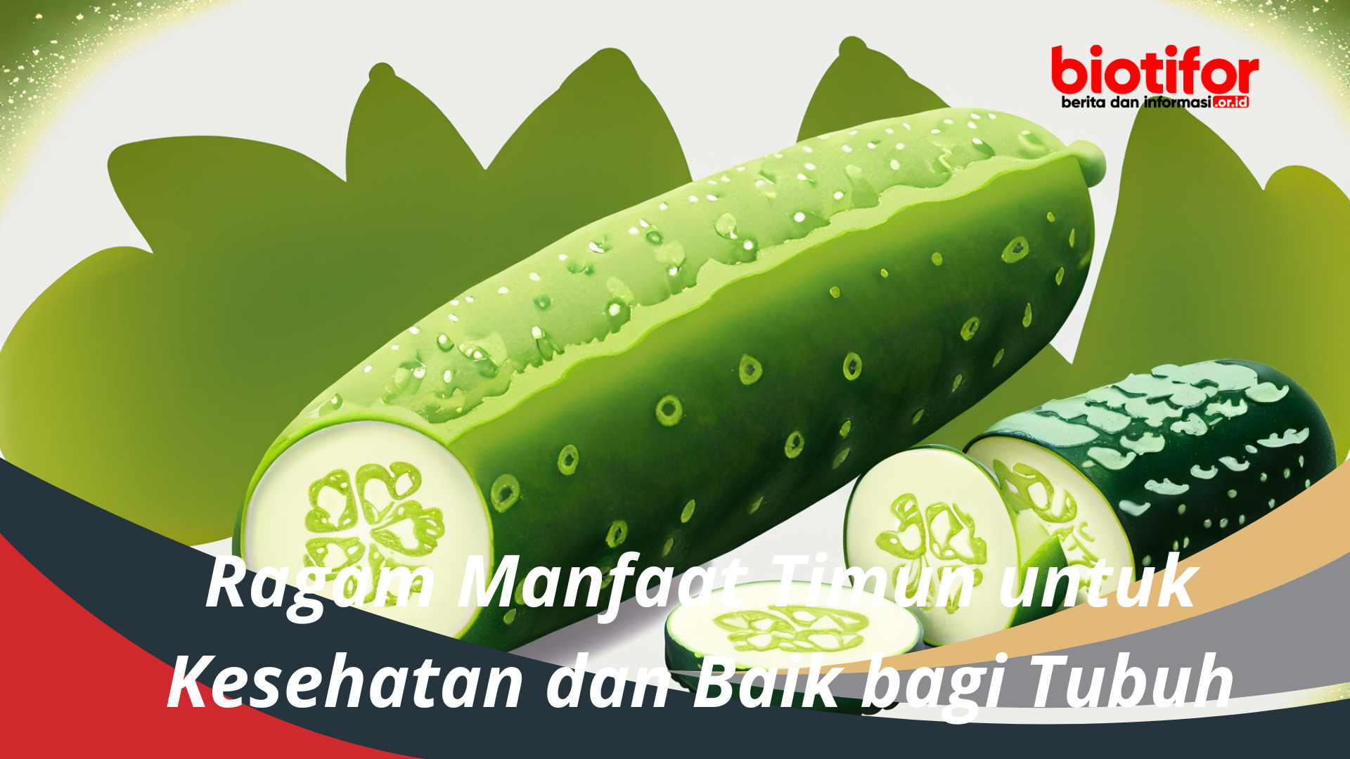 Ragam Manfaat Timun untuk Kesehatan dan Baik bagi Tubuh