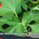 Manfaat Daun Insulin yang Menakjubkan