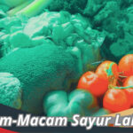 Sayur Lalapan