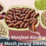 Segudang Manfaat Kacang Arab yang Masih Jarang Diketahui