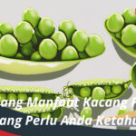 Segudang Manfaat Kacang Polong yang Perlu Anda Ketahui