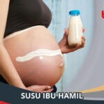 Susu Ibu Hamil