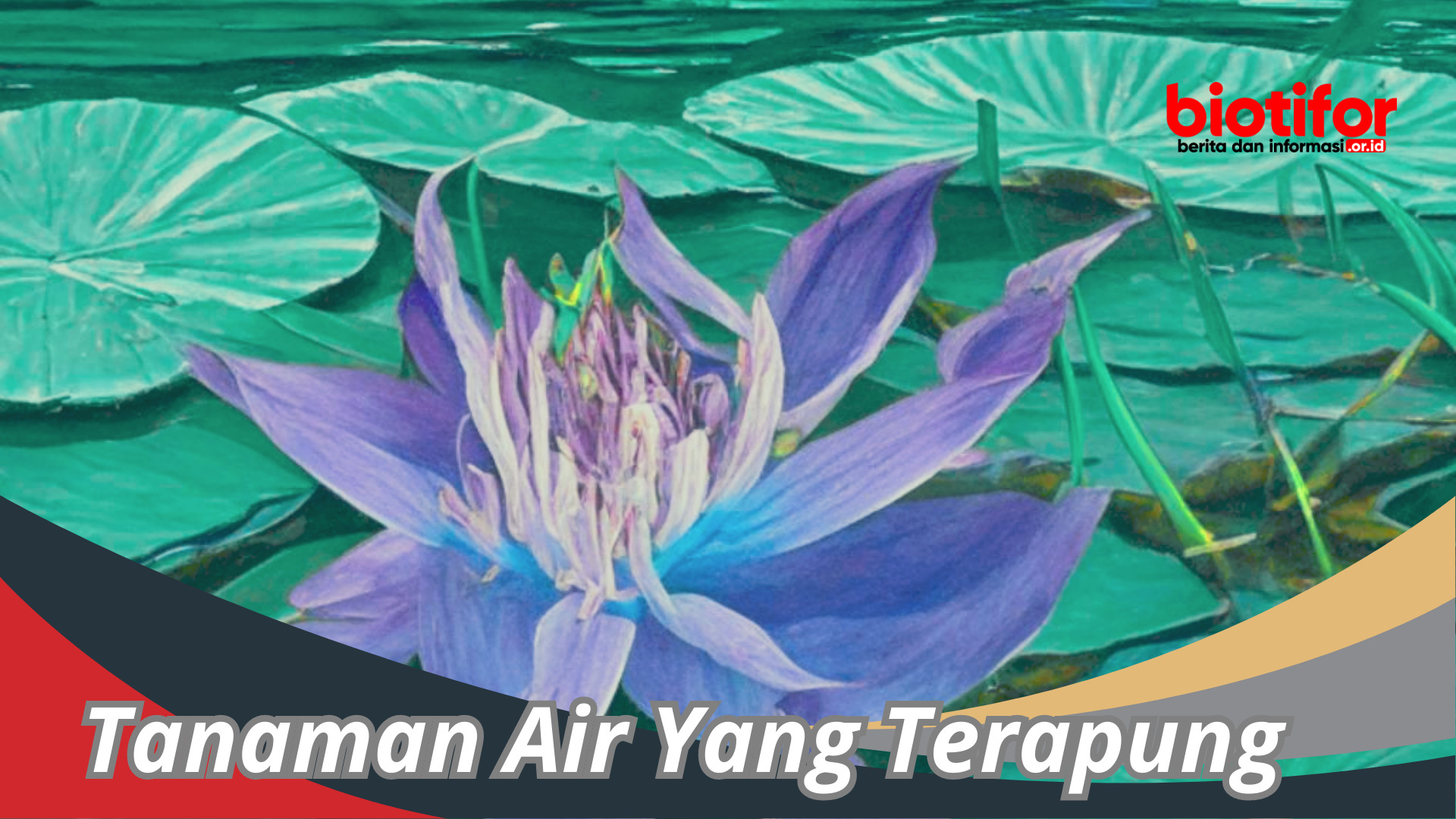 Tumbuhan Hidrofit – Jenis Tanaman Air Yang Terapung